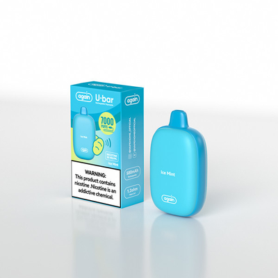 Pure Mint Tast 14.0ml Rechargeable Disposable Vape 7000 Puffs E Cig